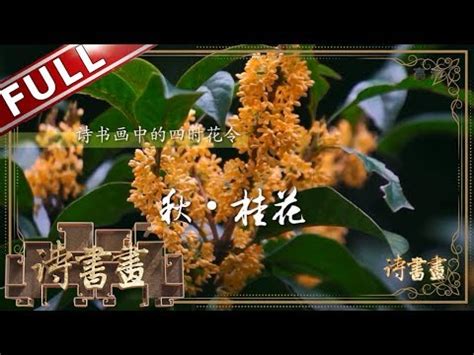 桂花象徵意義|【桂花象徵意義】桂花象徵意義：花語、寓意與文化象徵